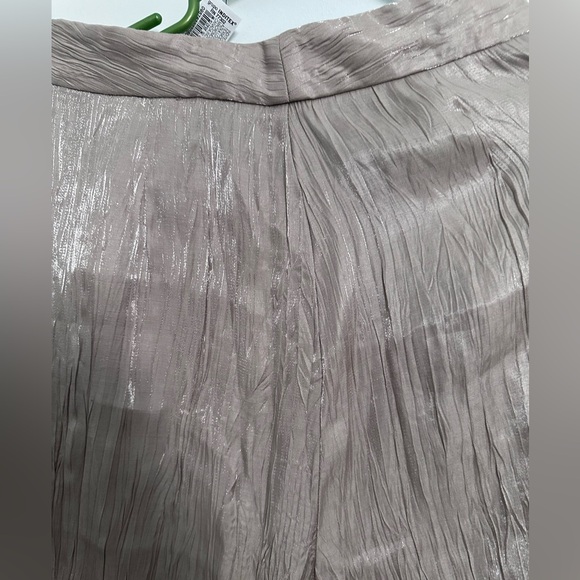 Shinny dress pants - Picture 2 of 7